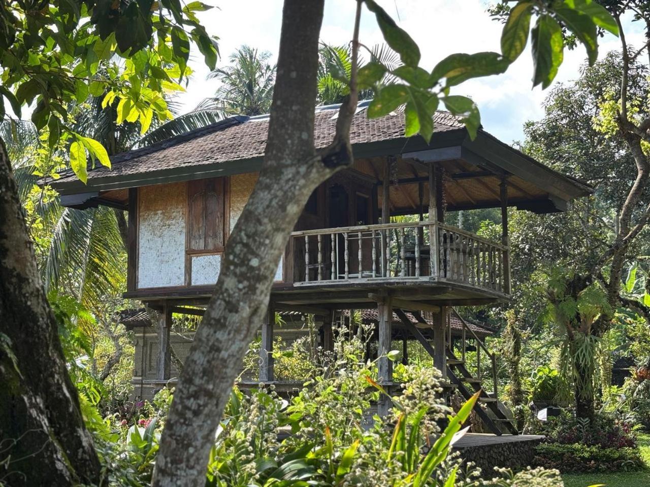 Mesari Cottage Guest House Pabean Buleleng Exterior foto